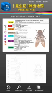 昆虫记蝉出地洞思维导图
