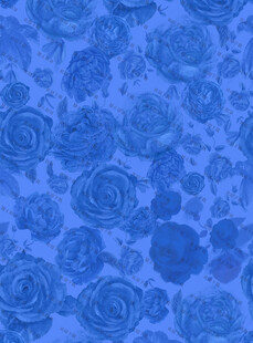 蓝色玫瑰图案纹理背景