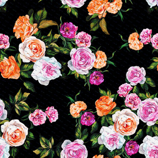 花卉图案 多彩玫瑰背景