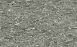 新款 爆款新传石纹 高档大图 