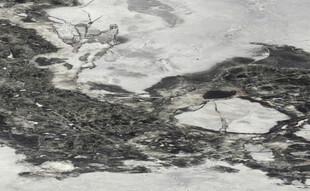 高端 爆款新传石纹 高档大图 