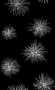 烟花  闪亮花  亮片花  