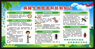 爱国卫生月宣传栏