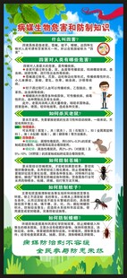 爱国卫生月展架