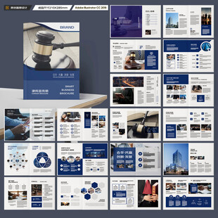 大气律师事务所画册