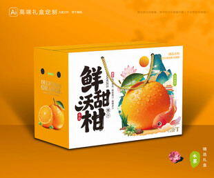 沃柑包装 蜜桔礼盒