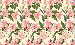 粉色百合花图案背景
