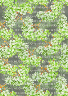 绣球花 绿色花卉图案纹理背景