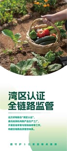 有机蔬菜种植场景展示