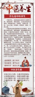 中医养生知识宣传海报展架
