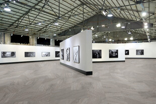 现代艺术展厅效果图