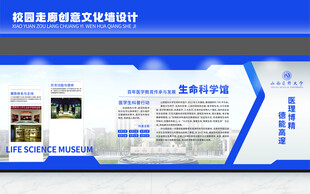 校园走廊文化墙设计展示