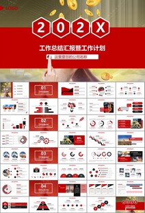 金融监督管理局总结计划ppt
