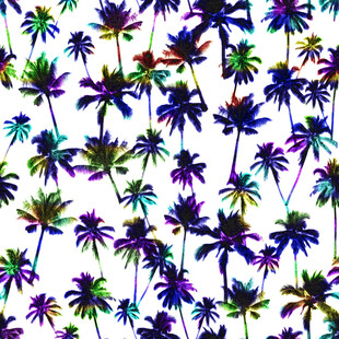 多彩棕榈树图案背景