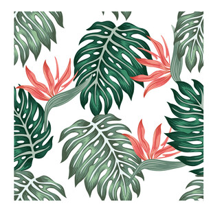 龟背竹也无缝背景