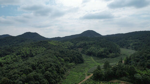 青山绿野间的开阔景致