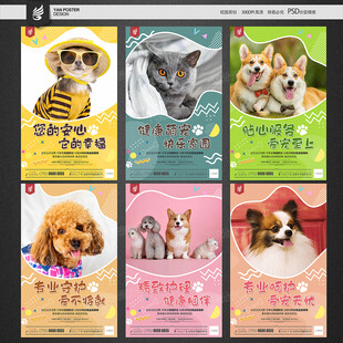 宠物海报