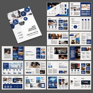 律师事务所画册版式设计