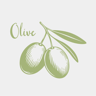 橄榄手绘素材