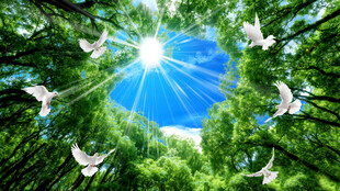 蓝天白云森林仰望天空