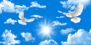 蓝天白云天花软膜