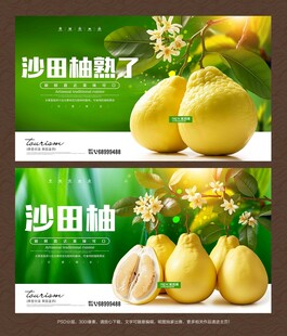 沙田柚海报展板