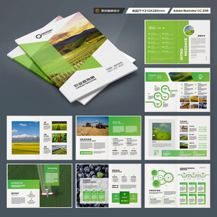 农产品宣传册