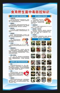 预防毒蘑菇中毒知识海报