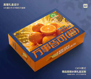 橙子包装 脐橙礼盒