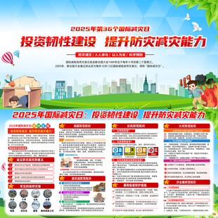 2025年国际减灾日