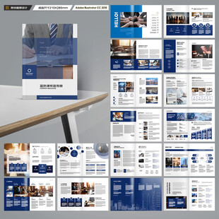 大气律师事务所画册