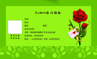 绿色浪漫花卉名片模板