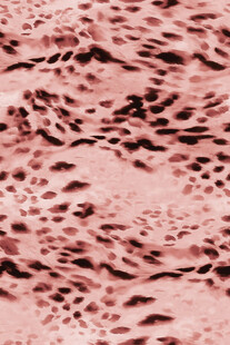 粉色纹理背景图案