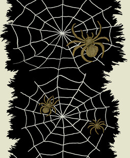 黑底上的蜘蛛与蛛网