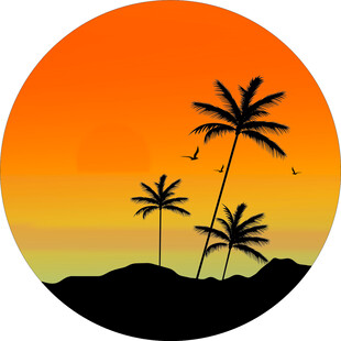 夕阳下的椰树剪影