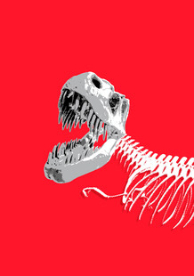 红色背景上的恐龙骨架