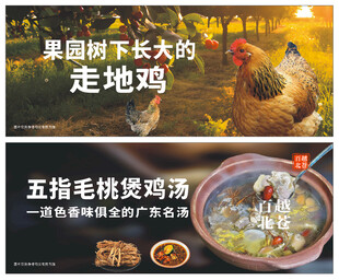 五指毛桃煲鸡汤