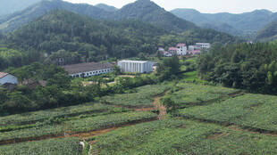 山间田园风光俯瞰图