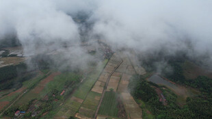 山间云雾缭绕的田园风光