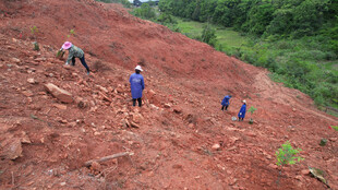 山坡上的劳动者