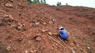 工人于红土地上辛勤劳作