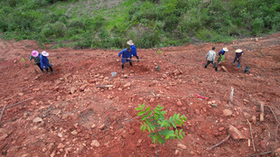 农民辛勤劳作开垦红土地