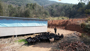 户外场地堆放的黑色物件