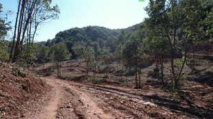 山间泥土路自然好风光