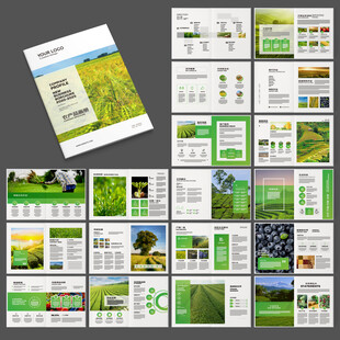 农产品宣传册