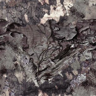 抽象树皮纹理艺术画面