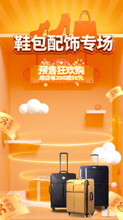 鞋包配饰直播贴片