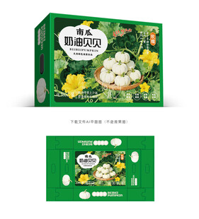 奶油贝贝南瓜礼盒