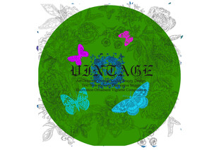 绿色圆形背景蝴蝶图案