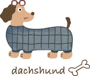 可爱格子装腊肠犬